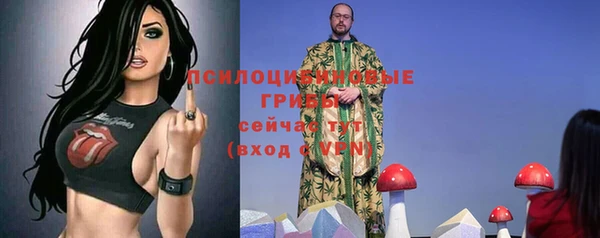 прущая мука Рославль
