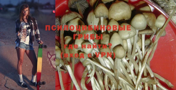 гашиш Абаза