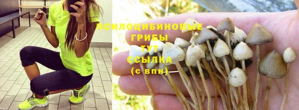 гашиш Абаза