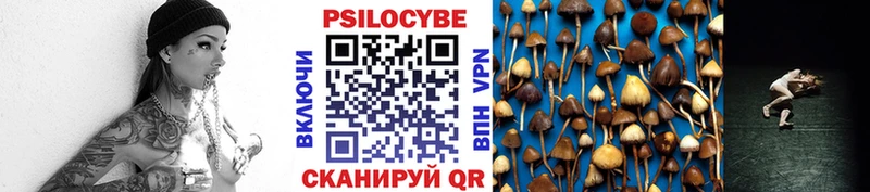 Псилоцибиновые грибы Cubensis  где купить наркоту  мориарти какой сайт  Заринск 