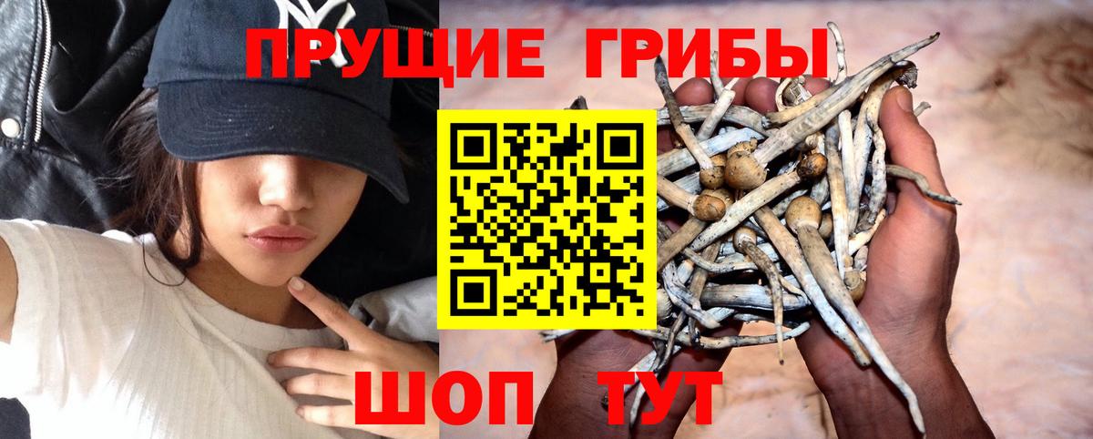 Псилоцибиновые грибы Magic Shrooms Заринск